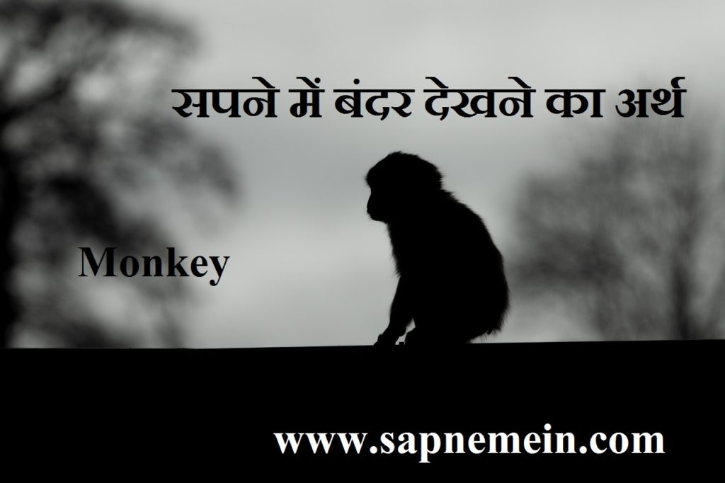 सपने में बंदर देखना कैसा होता है Seeing monkey in dream Hinduism