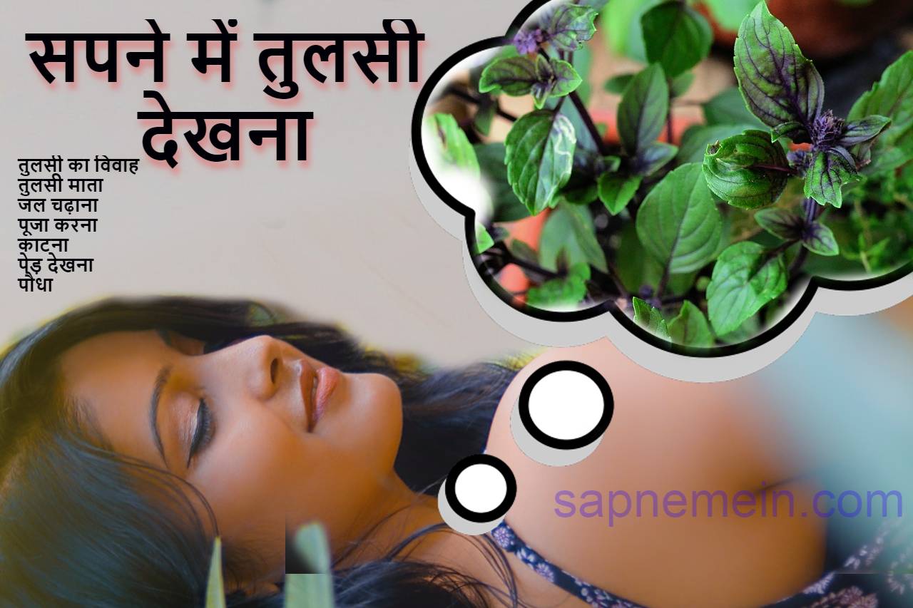 सपने में तुलसी देखना बदलेगी किस्मत (स्व्पन शास्त्र )Sapne Me Tulsi Dekhna In Hindi