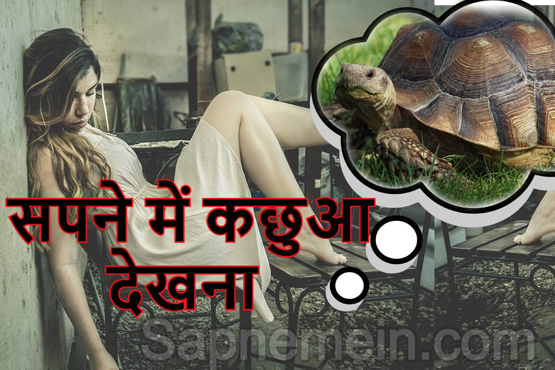 Sapne Me Kachhua Dekhna – सपने में कछुआ देखना