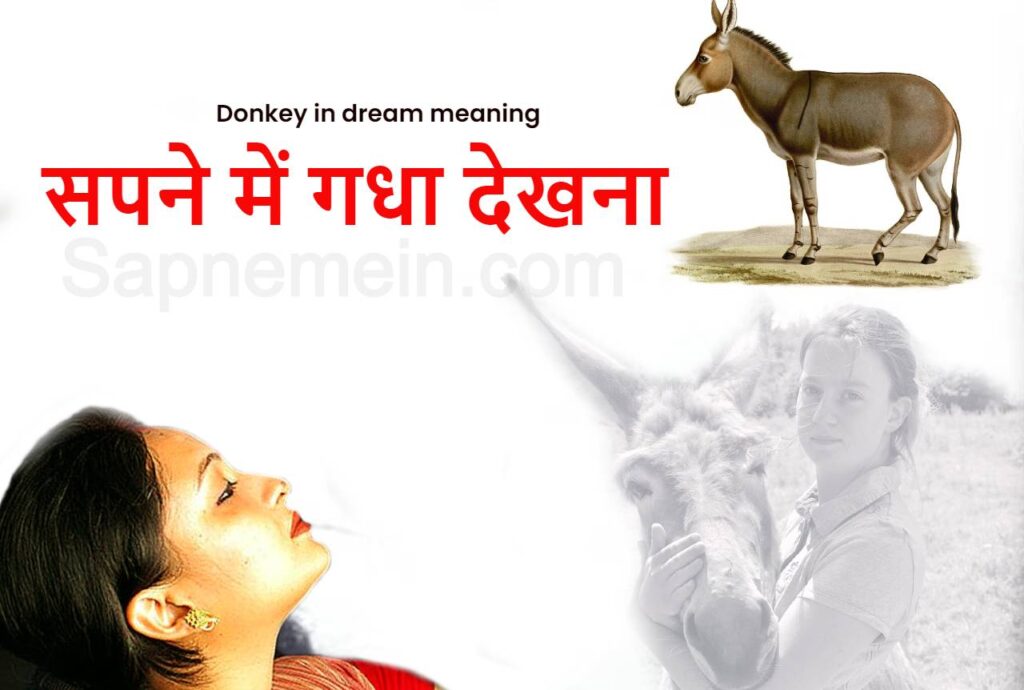 सपने में गधा देखना Sapne me donkey dekhna (Donkey in dream meaning)