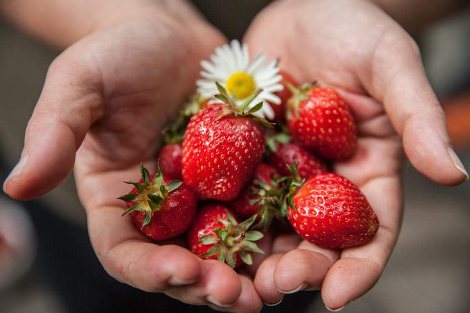 सपने में स्ट्रॉबेरी इकट्ठी करना Sapne me strawberry collect karna