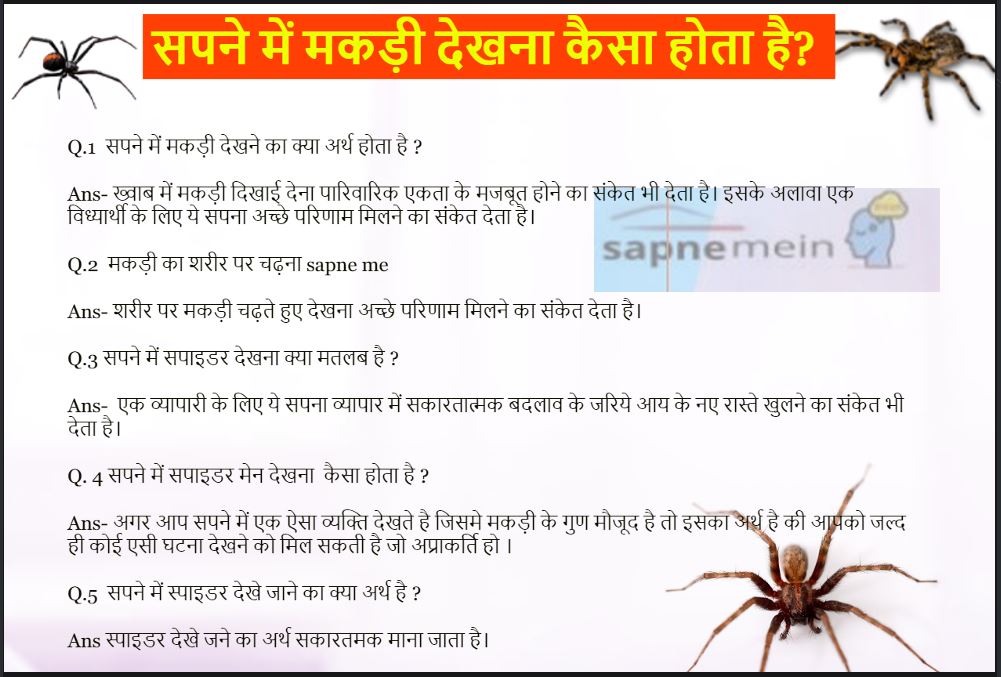 सपने में स्पाइडर देखना 
sapne me spider dekhna 