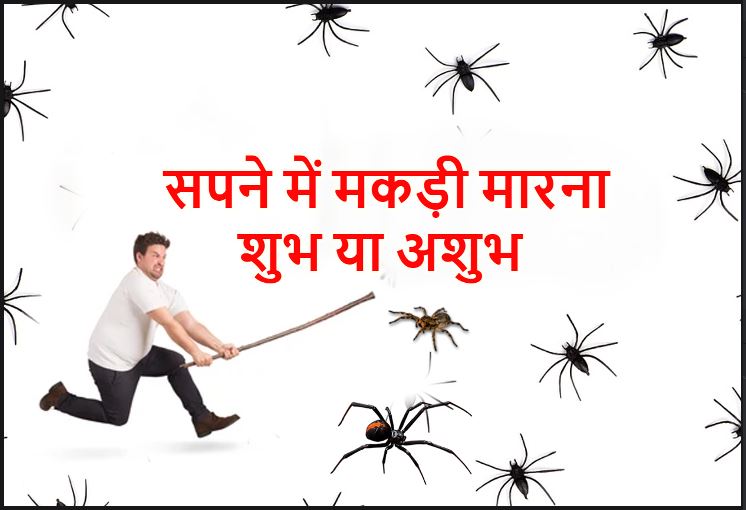 सपने में मकड़ी मारना I killed a spider in dream what does it mean in Hindu astrology