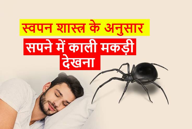 सपने में काली मकड़ी देखना शुभ या अशुभ Sapne me black spider dekhna in hindi