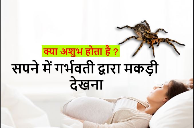 गर्भवती महिला द्वारा सपने में मकड़ी देखना Seeing spider in dream meaning by pregnant in Hindu astrology