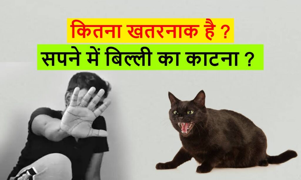 सपने में बिल्ली का काटना क्या मतलब होता है ? Cat biting me in dream meaning