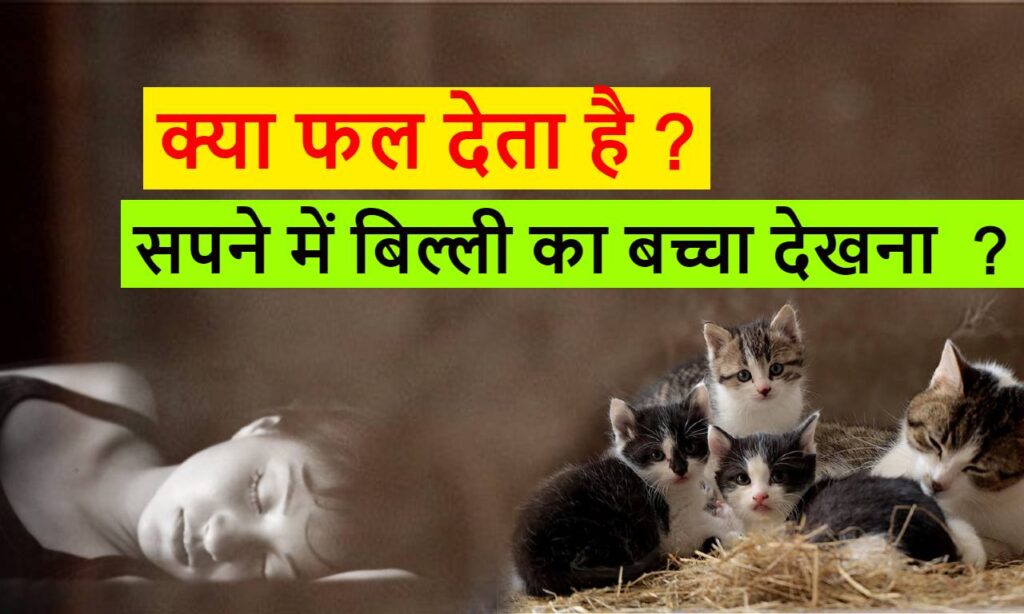 सपने में बिल्ली का बच्चा देखना क्या मतलब है ?Seeing Kittens in a Dream in hindi