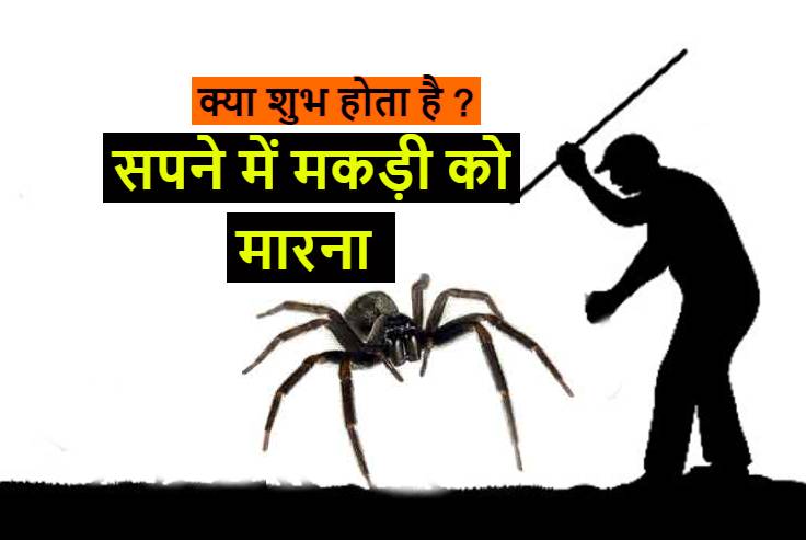 सपने में मकड़ी को मारना शुभ या अशुभ (स्व्पनशास्त्र ) Killing spider in dream hindu astrology