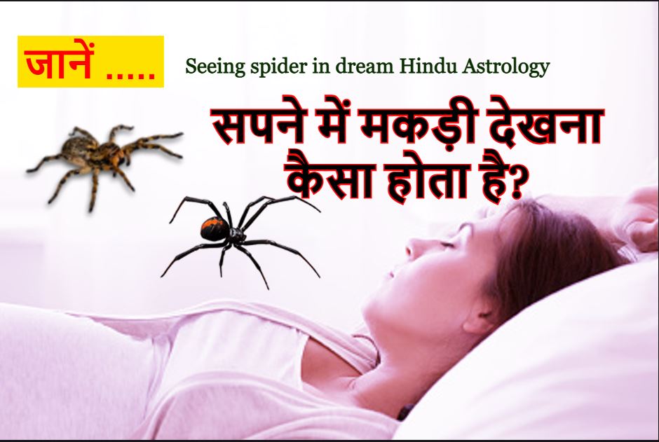 सपने में मकड़ी देखना कैसा होता है? Sapne me spider dekhne ka matlab