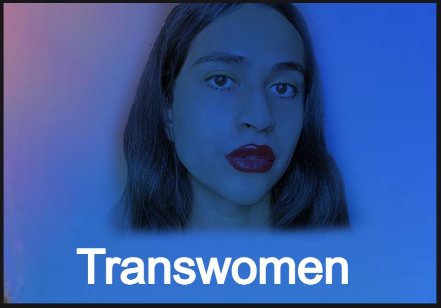 किन्नर महिला कैसी होती है(Who is transwomen )