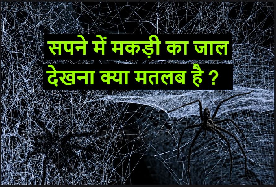 सपने में मकड़ी का जाला देखना कैसा प्रतीक है ? Sapne me makadi ka jala dekhna in HInud astrology