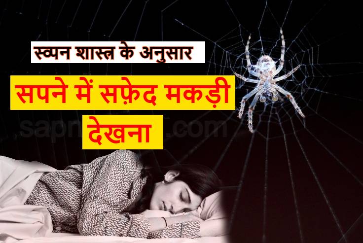 सपने में सफ़ेद मकड़ी देखना शुभ या अशुभ Seeing white spider in dream good or bad 