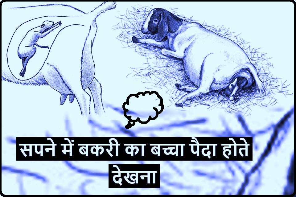 सपने में बकरी को बच्चा देते देखना Sapne mein bakri ko bachcha dete hue dekhna