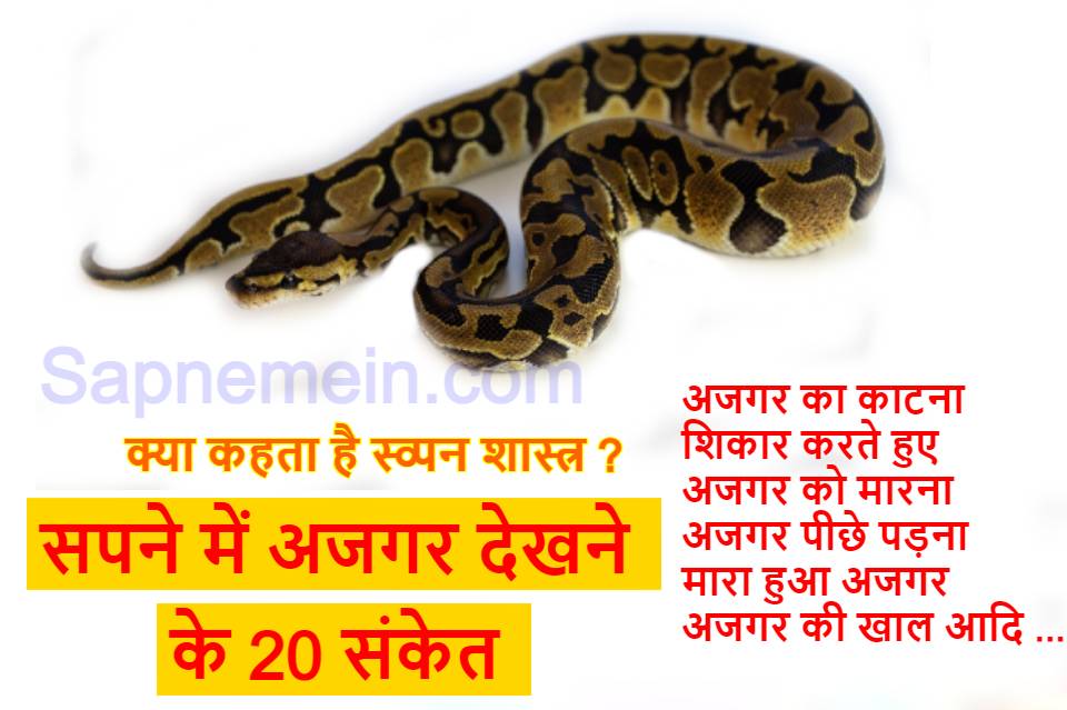 सपने मे अजगर देखने के 20 शास्त्र फल  Seeing python in dream in hindusm