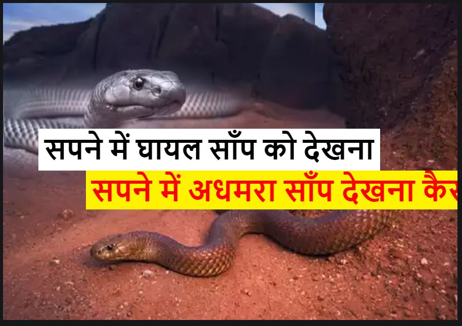 सपने में घायल साँप देखना अधमरा साँप देखना Seeing injured snake in dream Hindi