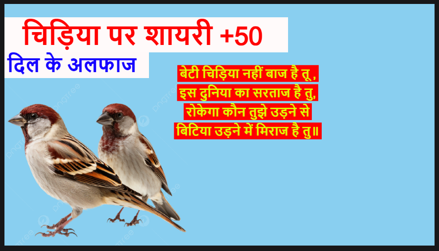 चिड़िया पर शायरी +50 , Chidiya Shayari Hindi