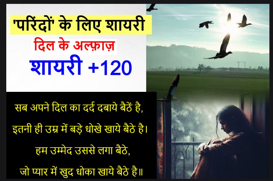 पंख कटे परिंदों से संबन्धित शायरी Parinda shayari collection 130+